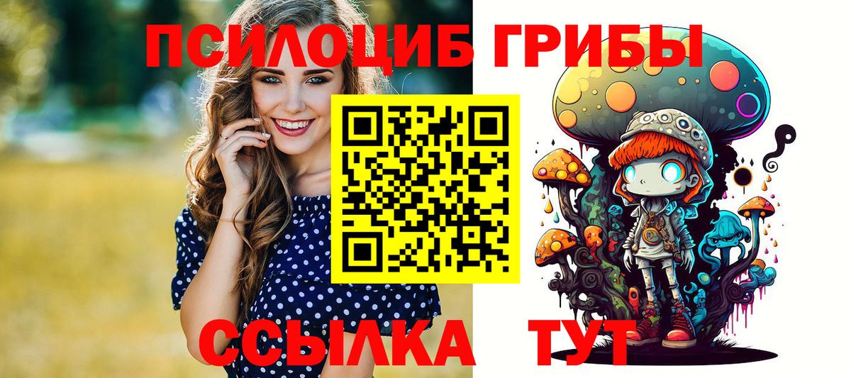 Галлюциногенные грибы мицелий  купить  цена  Соль-Илецк  Вход с VPN 